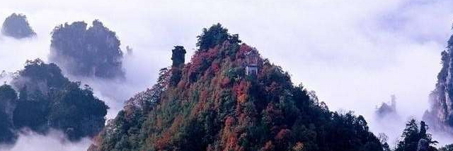 阿萨德发的